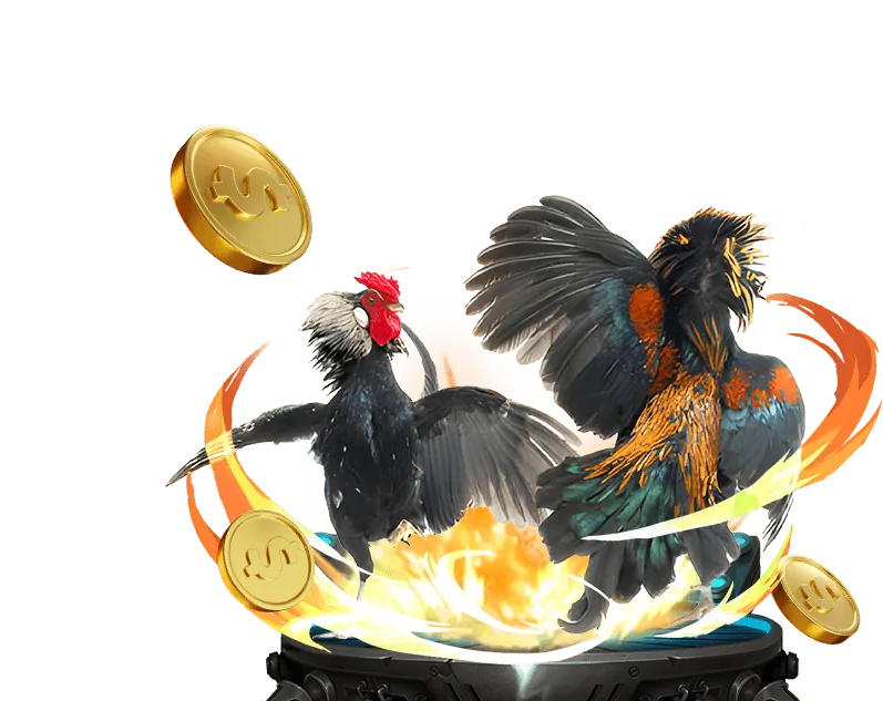 Hoàn trả cược đá gà mỗi ngày tại aa88